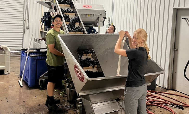 The cellar team working the crusher at harvest