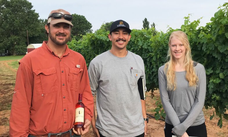 Three growers and winemakers standing in a green vineyard